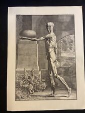 Antique poster anatomical for sale  Los Angeles