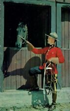 Rcmp mountie horse for sale  Levittown