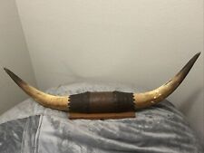 longhorn bull horns for sale  Austin