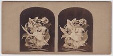 Still life stereoview for sale  BATH