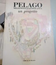 Pelago 1990 progetto usato  Italia