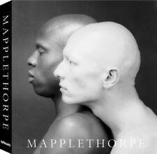Mapplethorpe robert mapplethor usato  Cambiago