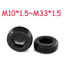 M10 ~ M30 Pipe Thread Allen Socket Head Plug 12.9 High Strength Carbon Steel for sale  Shipping to United Kingdom