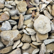 Decorative chippings 20mm for sale  SOUTH MOLTON