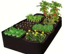Garden bed plant for sale  Shipping to Ireland