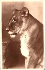 1930 lion antwerp d'occasion  Expédié en Belgium