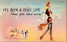 Dogs Life Since You've Been Away Woman Heels Bull Terrier Pomeranian Postcard for sale  Shipping to South Africa
