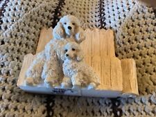 Mother pup poodles for sale  Clymer