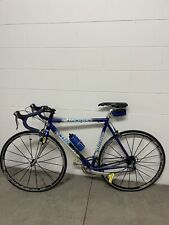 bicicletta blu usato  Brescia