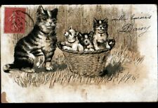 Chat chatons panier d'occasion  Baugy