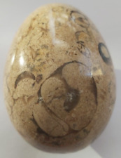 Fossil mineral egg for sale  STEVENAGE