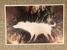 Banksy wet dog for sale  Rutherford