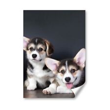 Cute corgi puppies for sale  SELBY