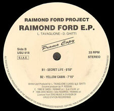 Raimond ford project usato  Pescara