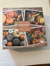 Professor puzzle harvest for sale  Hallsville