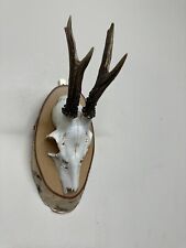 Set roe deer for sale  SOLIHULL