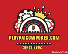 playpaigowpoker.com premium .com nome de domínio 21 anos Godaddy Push jogo popular comprar usado  Enviando para Brazil