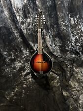 Vintage string mandolin for sale  Childress