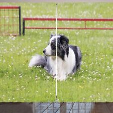 Englisch sheepdog rustikale gebraucht kaufen  Niederrad