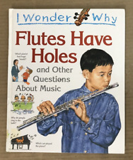 Wonder flutes holes for sale  CANTERBURY