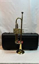 trumpets tr300 for sale  Columbus