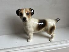 Jack russell terrier for sale  EMSWORTH