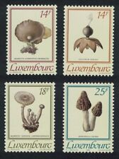 Sale luxembourg fungi for sale  UK