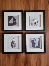 Conjunto de quatro fotos de arte em moldura preta de madeira. 10"×10" comprar usado  Enviando para Brazil