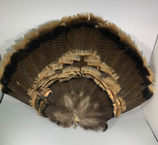 turkey fan for sale  Akron