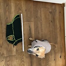 Hunde pullover sofa gebraucht kaufen  Garbsen- Berenbostel