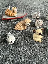 Peter fagan animals for sale  POTTERS BAR