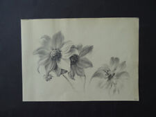 FRENCH SCHOOL 1891 - STUDY OF FLOWERS - FINE PENCIL DRAWING for sale  Shipping to South Africa