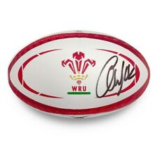 Bola de rugby do País de Gales assinada por Alun Wyn Jones, usado comprar usado  Enviando para Brazil