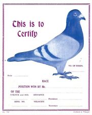 Collection pigeon racing for sale  UPMINSTER
