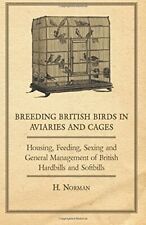 Breeding british birds for sale  ROSSENDALE