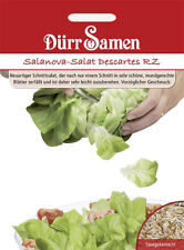Salanova salat descartes gebraucht kaufen  Pulheim