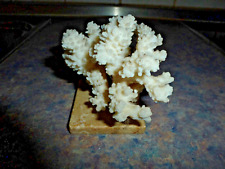 Kleine koralle sockel gebraucht kaufen  Grevenbroich