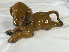 Rosenthal dachshund puppy for sale  Ballwin
