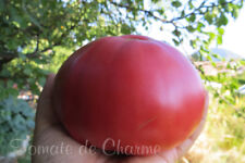 10graines tomate ancienne d'occasion  Poisy
