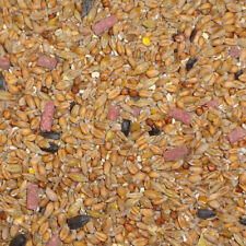 25kg Original Flavour Bird Seeds Seed Mix for Garden Birds / Wild Bird Food for sale  LEEDS