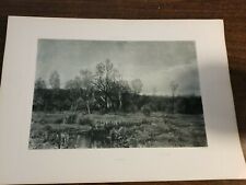 Spring beautiful photogravure for sale  Tucson
