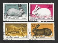 1986 bulgaria rabbit for sale  Miami