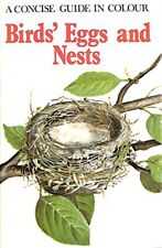 Birds eggs nests for sale  UK