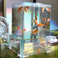 Acrylic aquarium fish for sale  UK
