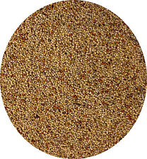 Foreign finch seed for sale  LEIGHTON BUZZARD