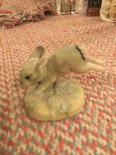 Teviotdale rabbit edlmann for sale  COLCHESTER