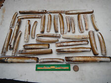 Job lot razor for sale  COLWYN BAY