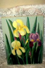 1949 iris flower for sale  Greeley