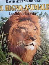 Libro agostini regno usato  Sanremo
