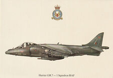 Harrier gr.7 squadron for sale  BRISTOL